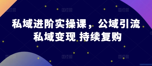 私域进阶实操课，公域引流 私域变现 持续复购-搞钱日记