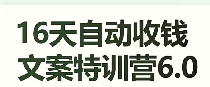 16天自动收钱文案特训营6.0，学会儿每天自动咔咔收钱-搞钱日记