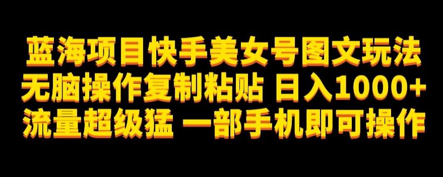 蓝海项目快手美女号图文玩法，无脑操作复制粘贴，日入1000+流量超级猛一部手机即可操作【揭秘】-搞钱日记