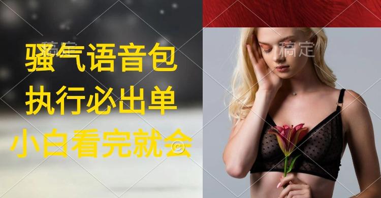 (9589期)执行就出单，日入2000+，超火骚气语音包，小白看完课程就能马上实操-搞钱日记