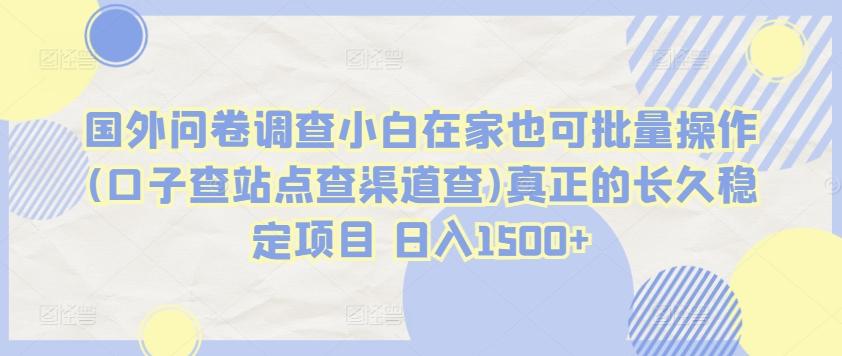 国外问卷调查小白在家也可批量操作(口子查站点查渠道查)真正的长久稳定项目 日入1500+【揭秘】-搞钱日记