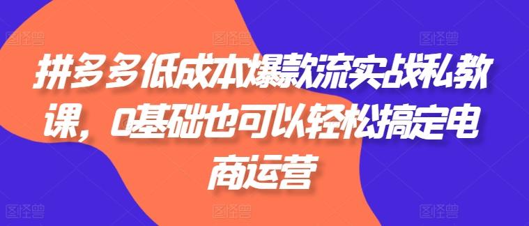 拼多多低成本爆款流实战私教课，0基础也可以轻松搞定电商运营-搞钱日记