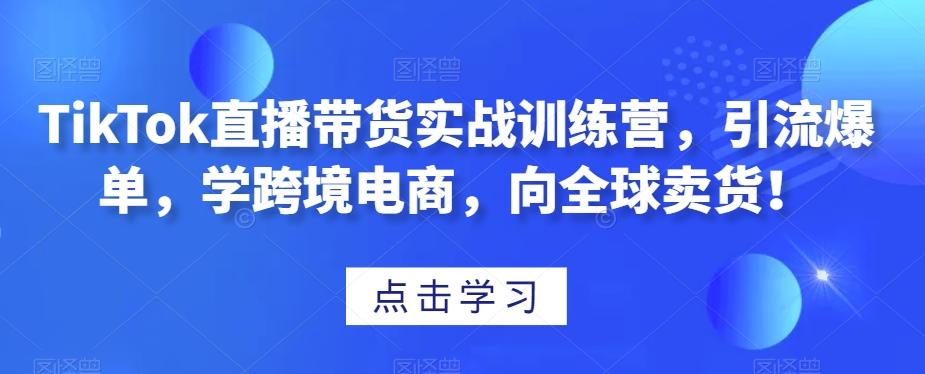 TikTok直播带货实战训练营，引流爆单，学跨境电商，向全球卖货！-搞钱日记