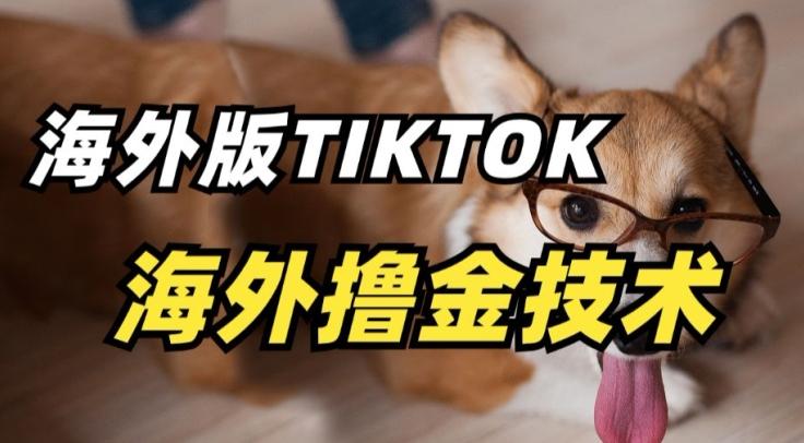 抖音海外版tiktok撸金技术，这个风口行业，赚钱真的不难【揭秘】-搞钱日记