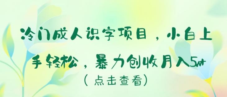 冷门成人识字项目，小白上手轻松，暴力创收月入5w+【揭秘】-搞钱日记