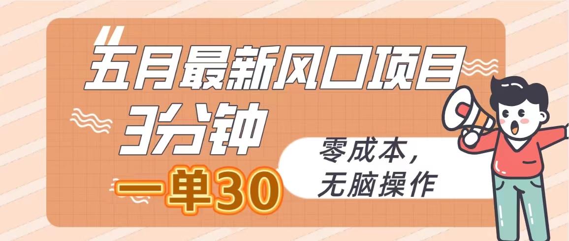 五月最新风口项目，3分钟一单30，零成本，无脑操作-搞钱日记