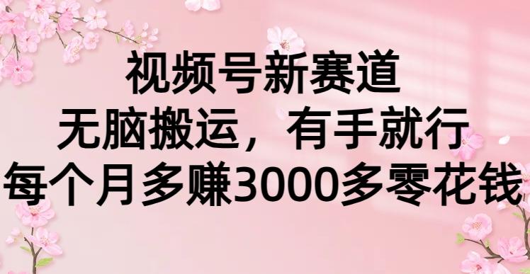 (9278期)视频号新赛道，无脑搬运，有手就行，每个月多赚3000多零花钱-搞钱日记