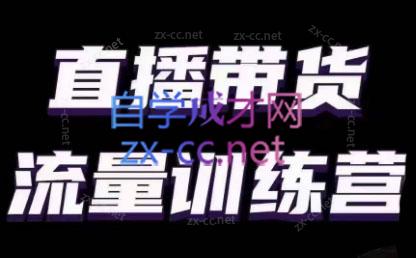 婉婉·直播带货课程系列合集(更新8月)-搞钱日记