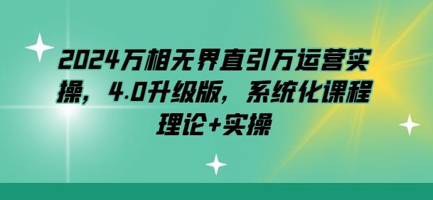 2024万相无界直引万运营实操，4.0升级版，系统化课程 理论+实操-搞钱日记