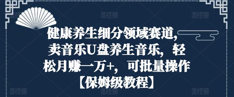 健康养生细分领域赛道，卖音乐U盘养生音乐，轻松月赚一万+，可批量操作【保姆级教程】-搞钱日记
