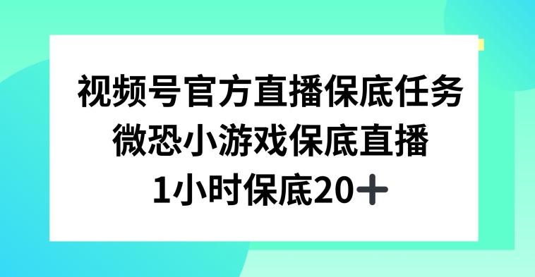 视频号直播任务，微恐小游戏，1小时20+【揭秘】-搞钱日记