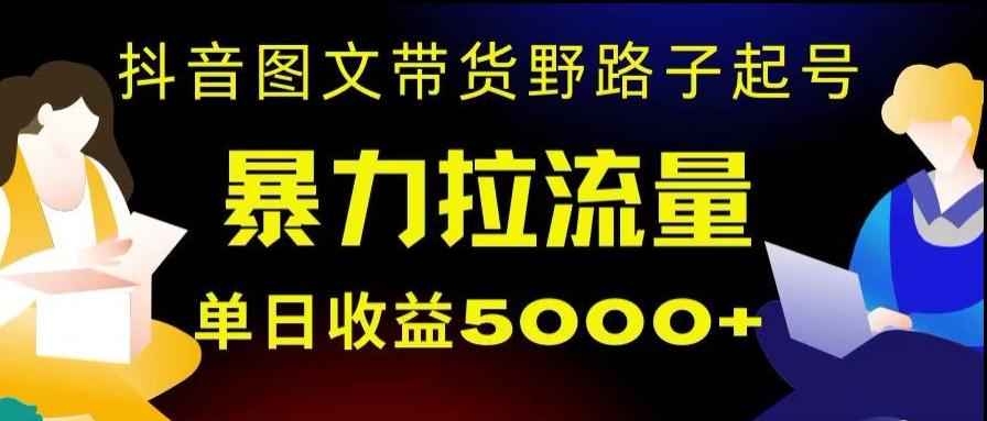 抖音图文带货暴力起号，单日收益5000+，野路子玩法，简单易上手，一部手机即可【揭秘】-搞钱日记
