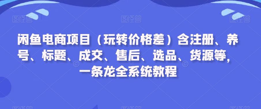 闲鱼电商项目(玩转价格差)含注册、养号、标题、成交、售后、选品、货源等，一条龙全系统教程-搞钱日记