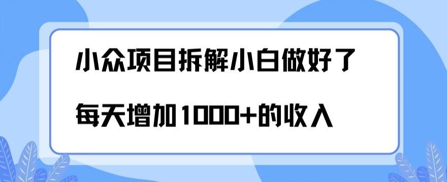 小众项目拆解，小白做好了每天可增加1000多的收入-搞钱日记