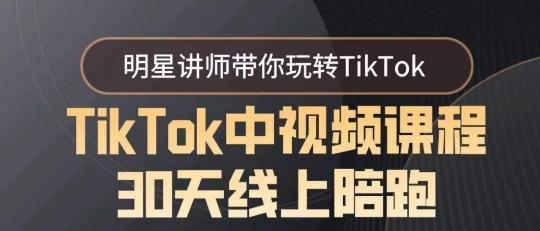 TikTok中视频课程30天线上陪跑，明星讲师带你玩转TikTok-搞钱日记