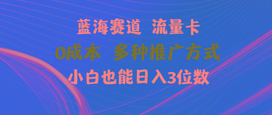 蓝海赛道 流量卡 0成本 小白也能日入三位数-搞钱日记