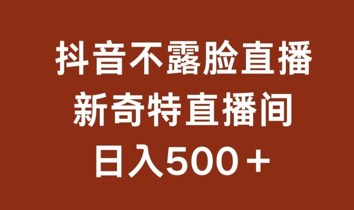 不露脸挂机直播，新奇特直播间，日入500+【揭秘】-搞钱日记