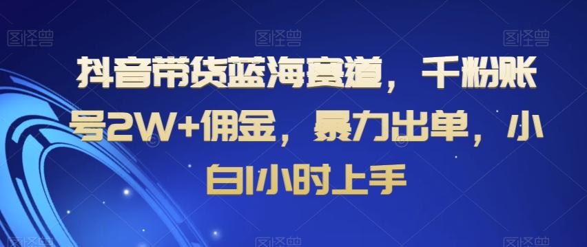 抖音带货蓝海赛道，千粉账号2W+佣金，暴力出单，小白1小时上手【揭秘】-搞钱日记