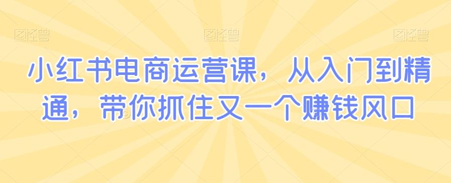 小红书电商运营课，从入门到精通，带你抓住又一个赚钱风口-搞钱日记
