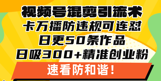视频号混剪引流技术，500万播放引流17000创业粉，操作简单当天学会-搞钱日记
