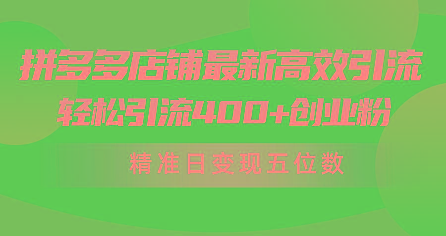 (10041期)拼多多店铺最新高效引流术，轻松引流400+创业粉，精准日变现五位数！-搞钱日记
