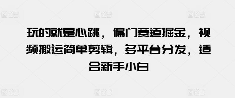 玩的就是心跳，偏门赛道掘金，视频搬运简单剪辑，多平台分发，适合新手小白【揭秘】-搞钱日记