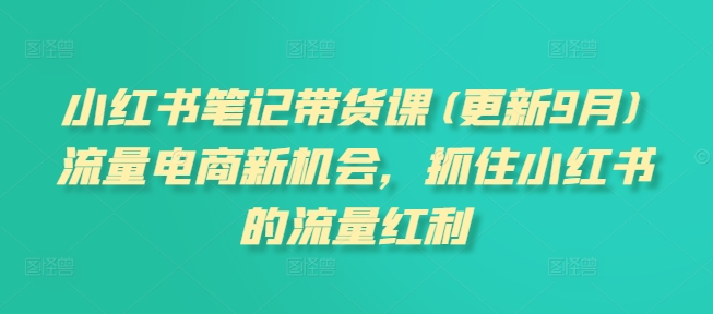 小红书笔记带货课(更新9月)流量电商新机会，抓住小红书的流量红利-搞钱日记
