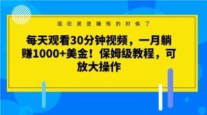 每天观看30分钟视频，一月躺赚1000+美金！保姆级教程，可放大操作【揭秘】-搞钱日记