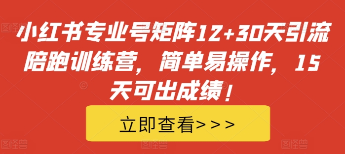 小红书专业号矩阵12+30天引流陪跑训练营，简单易操作，15天可出成绩!-搞钱日记