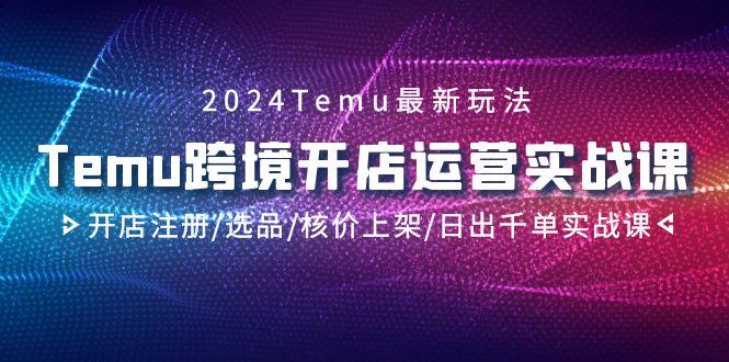 2024Temu跨境开店运营实战课，开店注册/选品/核价上架/日出千单实战课-搞钱日记
