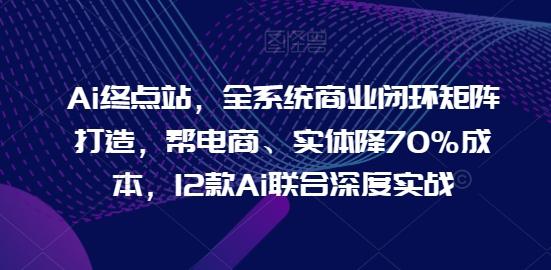 Ai终点站，全系统商业闭环矩阵打造，帮电商、实体降70%成本，12款Ai联合深度实战-搞钱日记