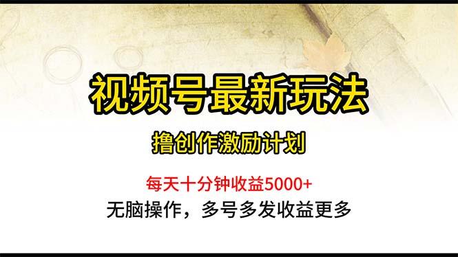 视频号最新玩法，每日一小时月入5000+-搞钱日记