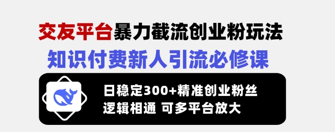 交友平台暴力截流创业粉玩法，知识付费新人引流必修课，日稳定300+精准创业粉丝，逻辑相通可多平台放大-搞钱日记