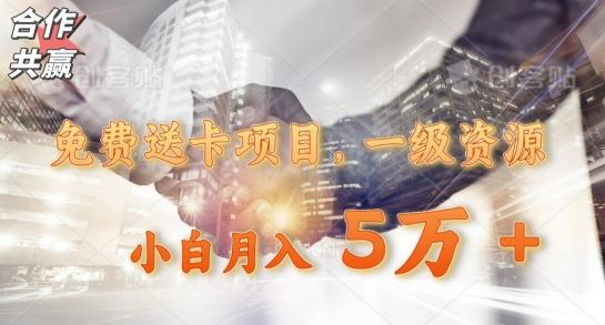 免费送卡项目，一级资源，小白月入5万+-搞钱日记
