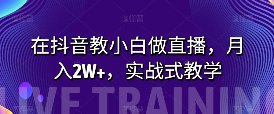 在抖音教小白做直播，月入2W+，实战式教学【揭秘】-搞钱日记