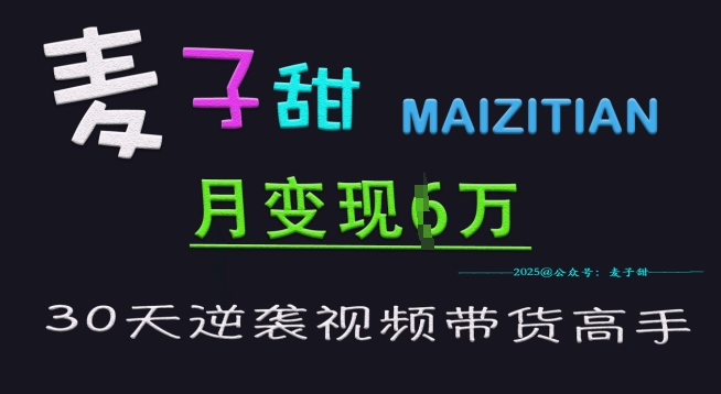 麦子甜30天逆袭视频带货高手，单月变现6W加特训营-搞钱日记