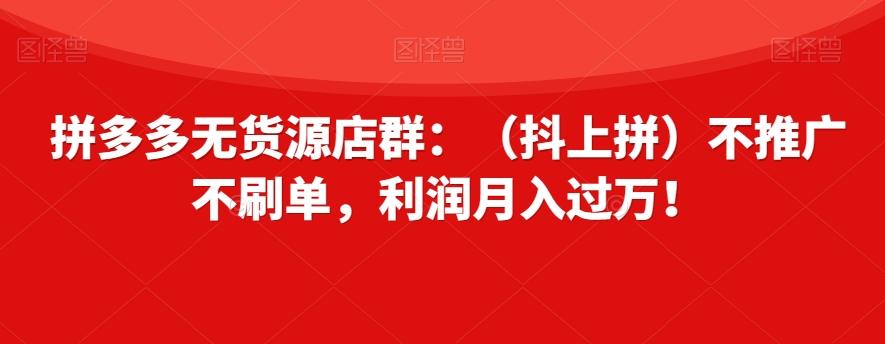 拼多多无货源店群：（抖上拼）不推广不刷单，利润月入过万！【揭秘】-搞钱日记