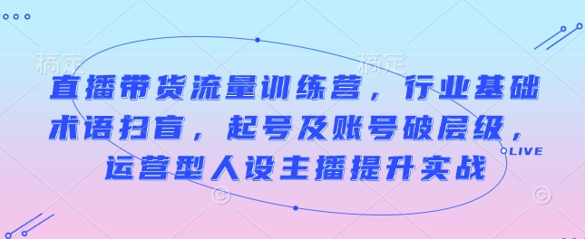 直播带货流量训练营，行业基础术语扫盲，起号及账号破层级，运营型人设主播提升实战-搞钱日记