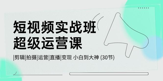 短视频实战班超级运营课 |剪辑|拍摄|运营|直播|变现 小白到大神 (30节)-搞钱日记