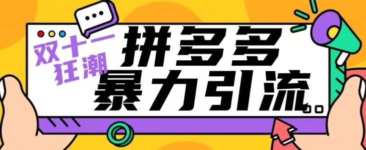 【首发】双十一拼多多暴力引流，日引300+微信-搞钱日记