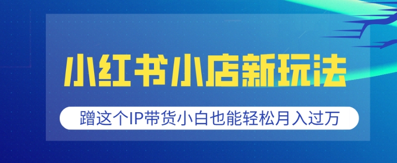 小红书小店新玩法，蹭这个IP带货，小白也能轻松月入过W【揭秘】-搞钱日记