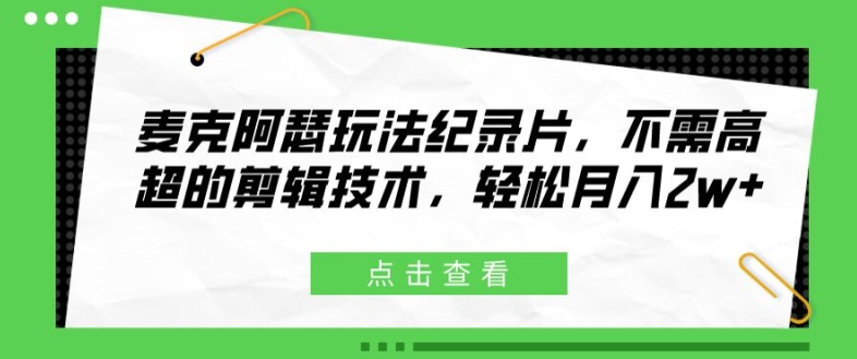 麦克阿瑟玩法纪录片，不需高超的剪辑技术，轻松月入2w+【揭秘】-搞钱日记
