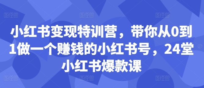 小红书变现特训营，带你从0到1做一个赚钱的小红书号，24堂小红书爆款课-搞钱日记