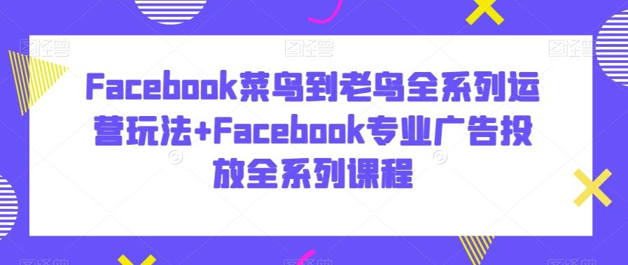 Facebook菜鸟到老鸟全系列运营玩法+Facebook专业广告投放全系列课程-搞钱日记