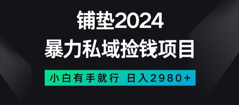 暴力私域捡钱项目，小白无脑操作，日入2980【揭秘】-搞钱日记