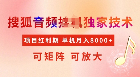 全网首发搜狐音频挂JI独家技术，项目红利期，可矩阵可放大，稳定月入8k【揭秘】-搞钱日记