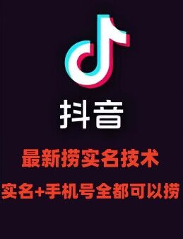 最新技术抖音捞实名+捞手机号技术，抖音直播封禁释放十名/手机号，直接替换出来!-搞钱日记