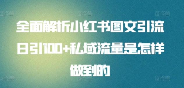 全面解析小红书图文引流日引100+私域流量是怎样做到的【揭秘】-搞钱日记