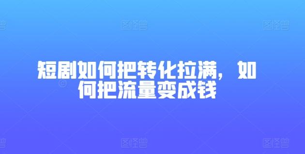 短剧如何把转化拉满，如何把流量变成钱-搞钱日记