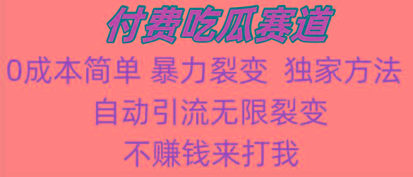 吃瓜付费赛道，暴力无限裂变，0成本，实测日入700+！！！-搞钱日记